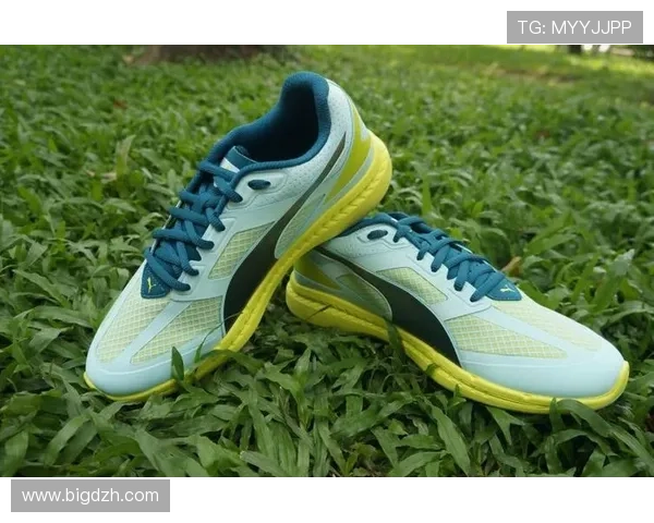 尚体育精英联赛南海的简单介绍sports